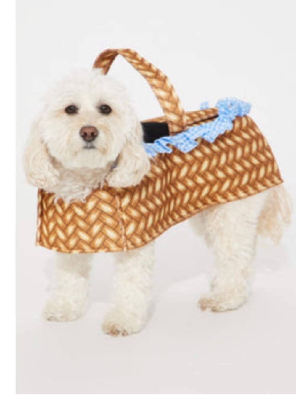 New Dorthy Wizard Of Oz Dog Halloween Costume in Brown with Blue Trim XL